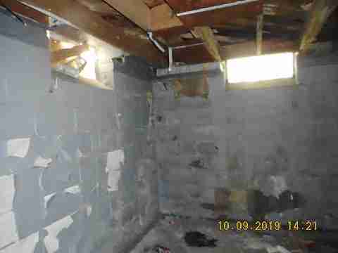 13015 Kelly (31)_m.jpg